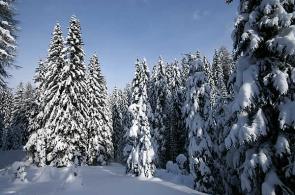 Dolomiti Super Premiere